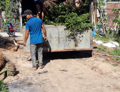 6/3/2021 Bàng đài loan , 6, 7cm giao về đà lạt